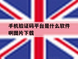 手机验证码平台是什么软件啊图片下载