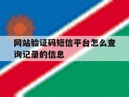 网站验证码短信平台怎么查询记录的信息