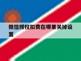微信授权扣费在哪里关掉设置