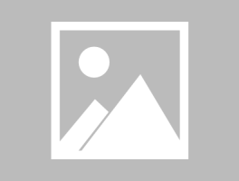 国际验证码平台手机版下载安装