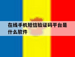 在线手机短信验证码平台是什么软件