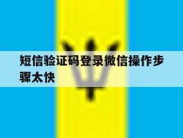 短信验证码登录微信操作步骤太快