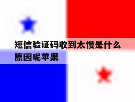短信验证码收到太慢是什么原因呢苹果