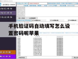 手机验证码自动填写怎么设置密码呢苹果