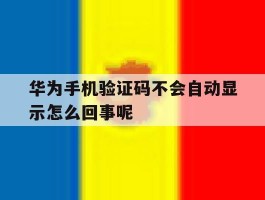 华为手机验证码不会自动显示怎么回事呢的简单介绍