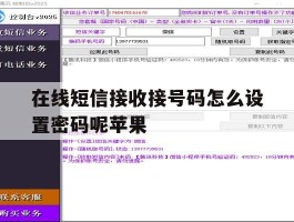 在线短信接收接号码怎么设置密码呢苹果