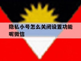 隐私小号怎么关闭设置功能呢微信