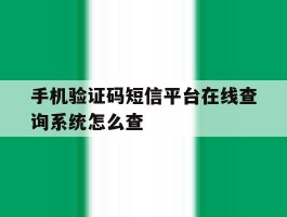 手机验证码短信平台在线查询系统怎么查
