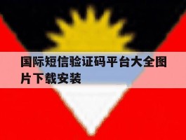 国际短信验证码平台大全图片下载安装