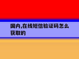 国内,在线短信验证码怎么获取的