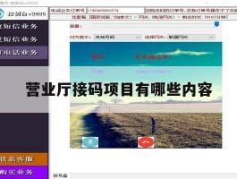 营业厅接码项目有哪些内容