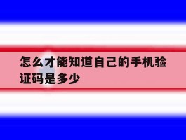 怎么才能知道自己的手机验证码是多少