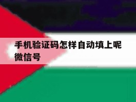 手机验证码怎样自动填上呢微信号