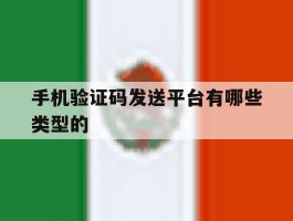 手机验证码发送平台有哪些类型的