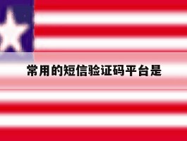 常用的短信验证码平台是