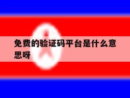 免费的验证码平台是什么意思呀