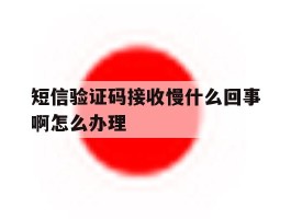 短信验证码接收慢什么回事啊怎么办理