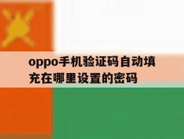 oppo手机验证码自动填充在哪里设置的密码