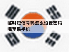 包含临时短信号码怎么设置密码呢苹果手机的词条