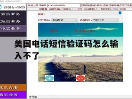 美国电话短信验证码怎么输入不了