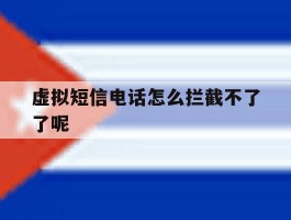 虚拟短信电话怎么拦截不了了呢