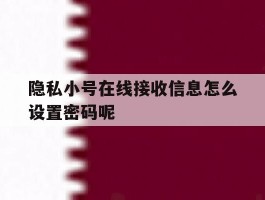 隐私小号在线接收信息怎么设置密码呢