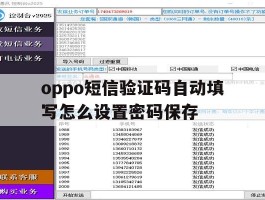 oppo短信验证码自动填写怎么设置密码保存