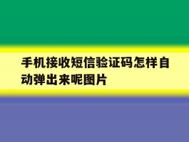 包含手机接收短信验证码怎样自动弹出来呢图片的词条