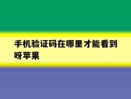 手机验证码在哪里才能看到呀苹果