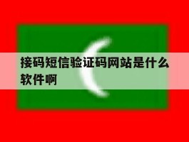 接码短信验证码网站是什么软件啊