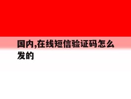 国内,在线短信验证码怎么发的