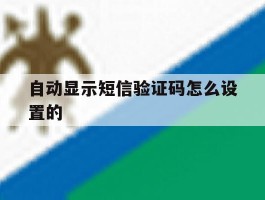 自动显示短信验证码怎么设置的