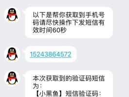 如何利用接码赚钱教程