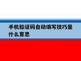 手机验证码自动填写技巧是什么意思