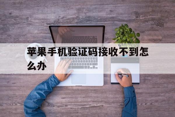 苹果手机验证码接收不到怎么办 苹果手机验证码接收不到怎么办