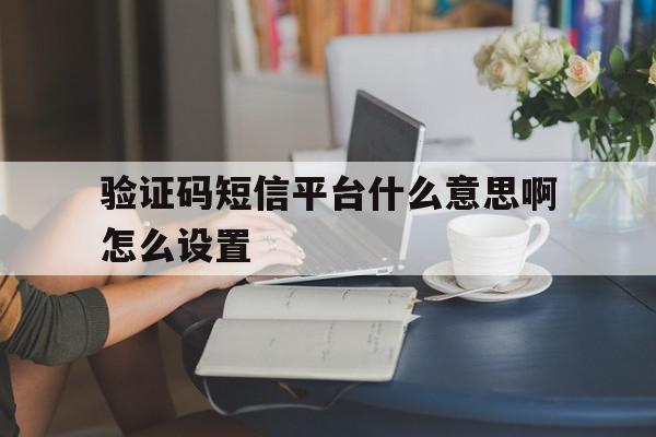 验证码短信平台什么意思啊怎么设置 验证码短信平台什么意思啊怎么设置