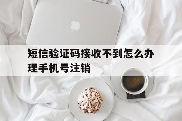 包含短信验证码接收不到怎么办理手机号注销的词条 包含短信验证码接收不到怎么办理手机号注销的词条