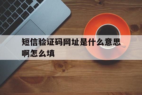 短信验证码网址是什么意思啊怎么填 短信验证码网址是什么意思啊怎么填