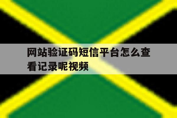 网站验证码短信平台怎么查看记录呢视频 网站验证码短信平台怎么查看记录呢视频