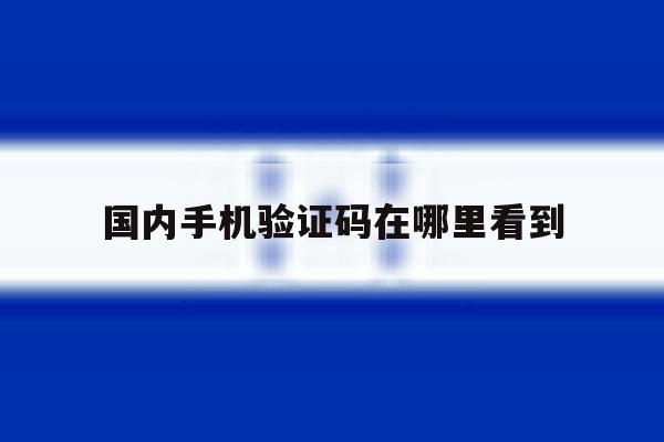 国内手机验证码在哪里看到 国内手机验证码在哪里看到