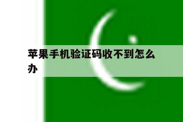 苹果手机验证码收不到怎么办 苹果手机验证码收不到怎么办