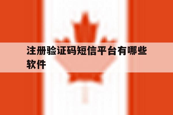 注册验证码短信平台有哪些软件 注册验证码短信平台有哪些软件