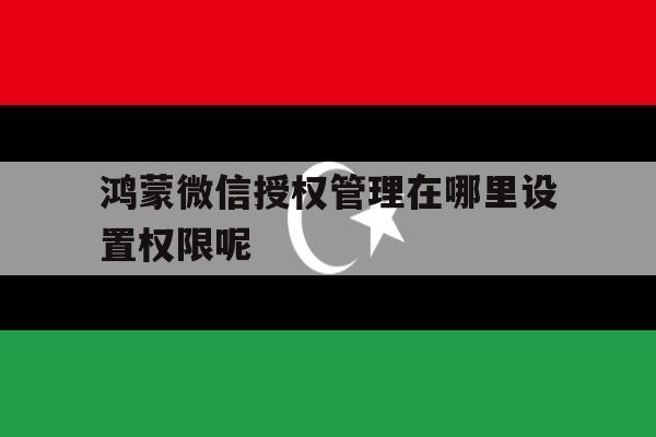 鸿蒙微信授权管理在哪里设置权限呢 鸿蒙微信授权管理在哪里设置权限呢