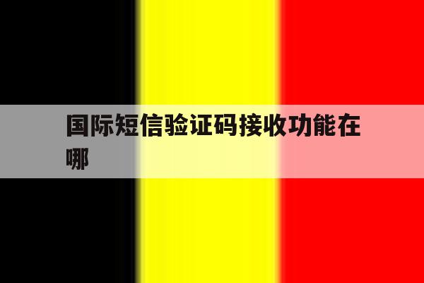 国际短信验证码接收功能在哪 国际短信验证码接收功能在哪