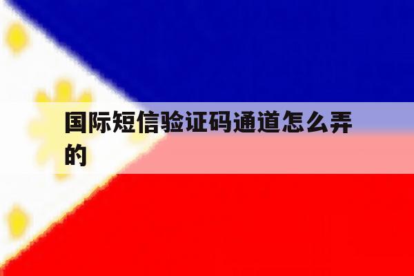 国际短信验证码通道怎么弄的 国际短信验证码通道怎么弄的