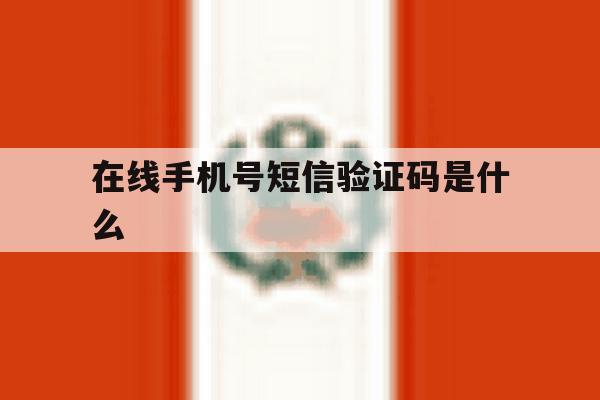 在线手机号短信验证码是什么 在线手机号短信验证码是什么