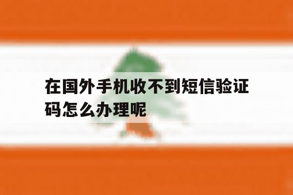 在国外手机收不到短信验证码怎么办理呢 在国外手机收不到短信验证码怎么办理呢