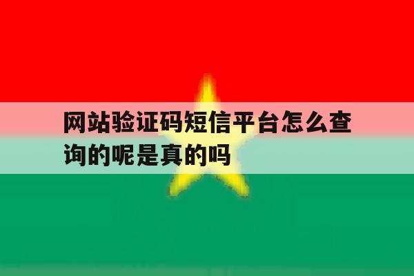 关于网站验证码短信平台怎么查询的呢是真的吗的信息 关于网站验证码短信平台怎么查询的呢是真的吗的信息
