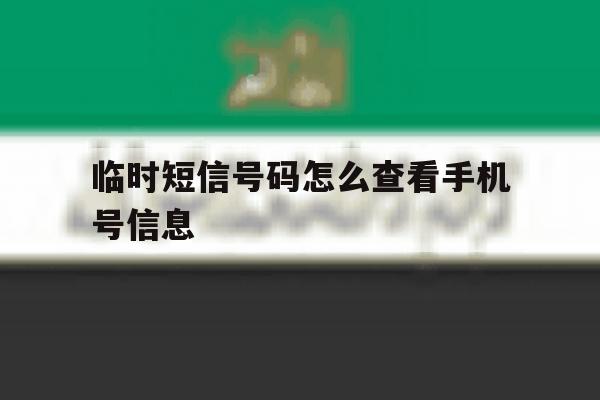 包含临时短信号码怎么查看手机号信息的词条 包含临时短信号码怎么查看手机号信息的词条