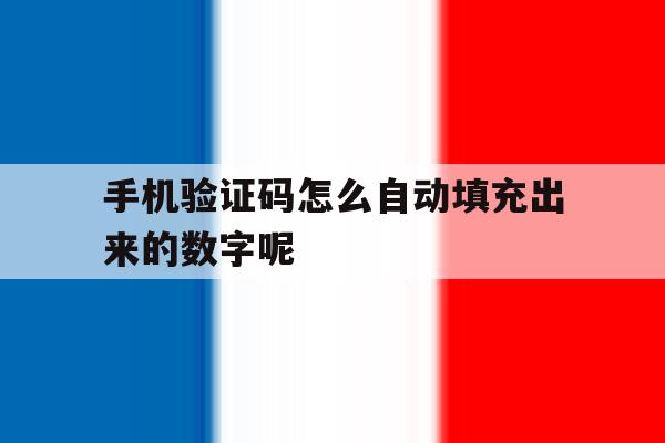 手机验证码怎么自动填充出来的数字呢 手机验证码怎么自动填充出来的数字呢